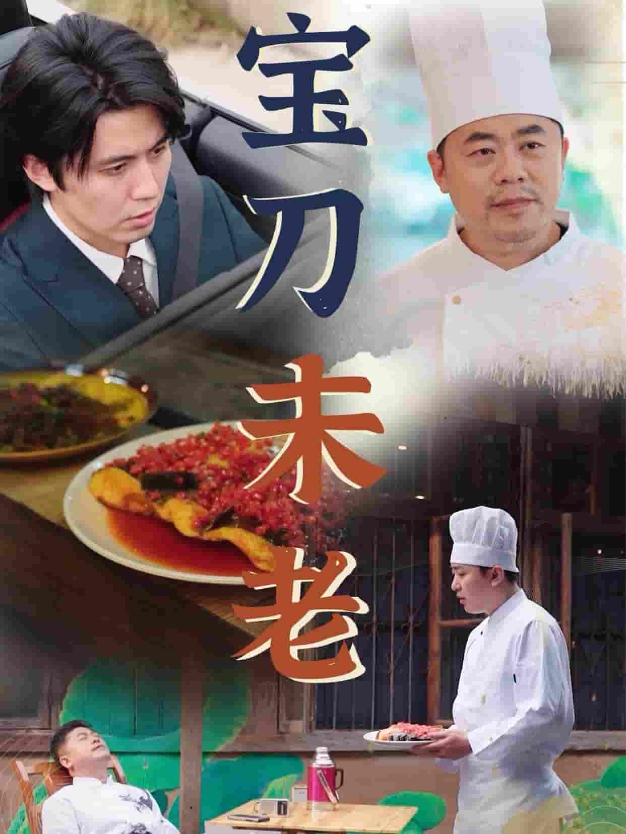 宝刀未老短剧版全集
