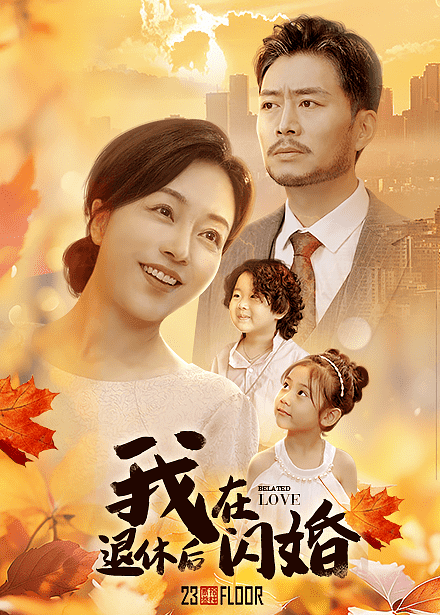 我在退休后闪婚全集