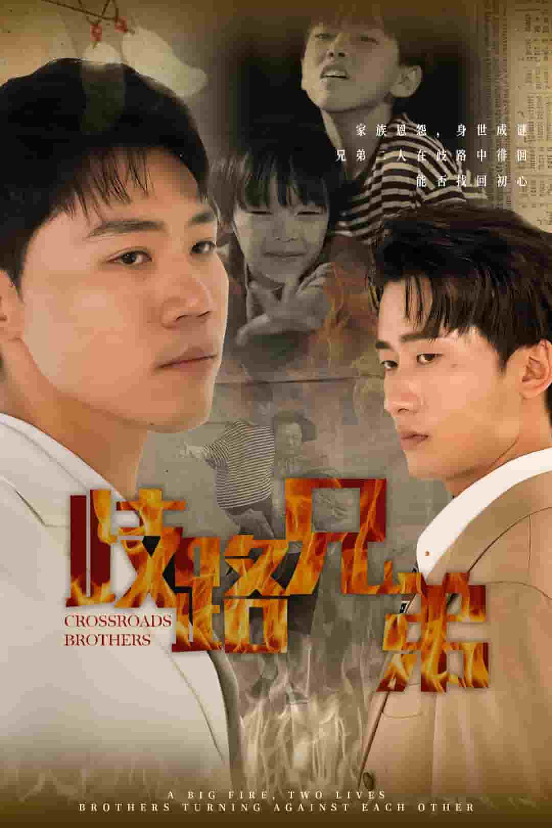 歧路兄弟全集