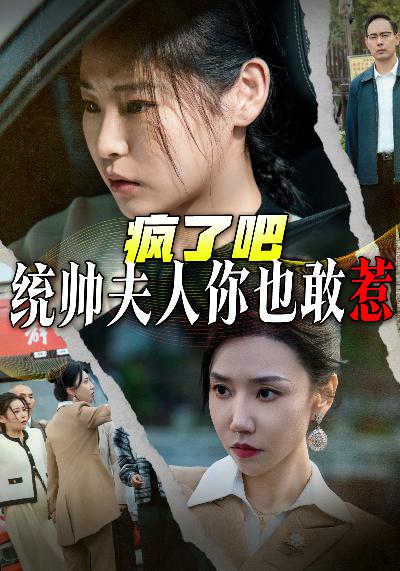 疯了吧统帅夫人你也敢惹全集