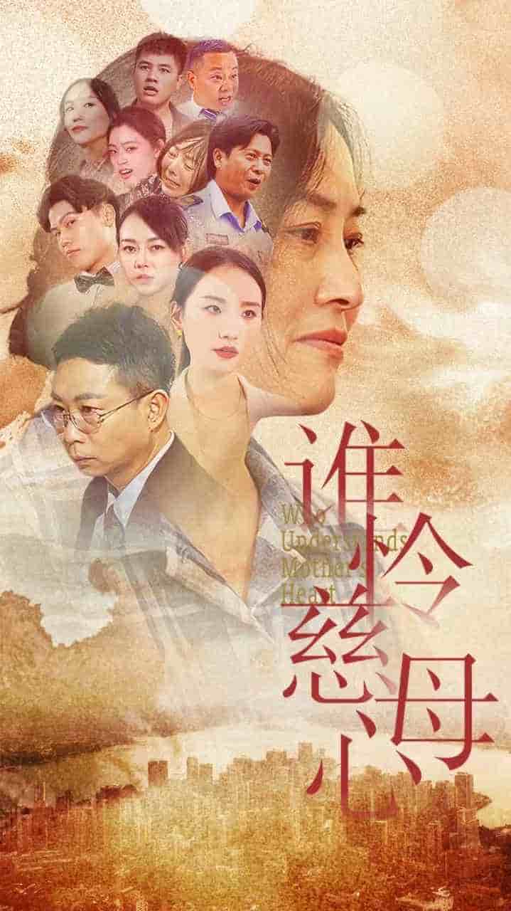 谁怜慈母心全集
