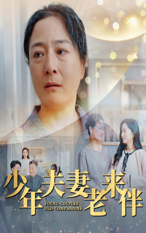 少年夫妻老来伴全集