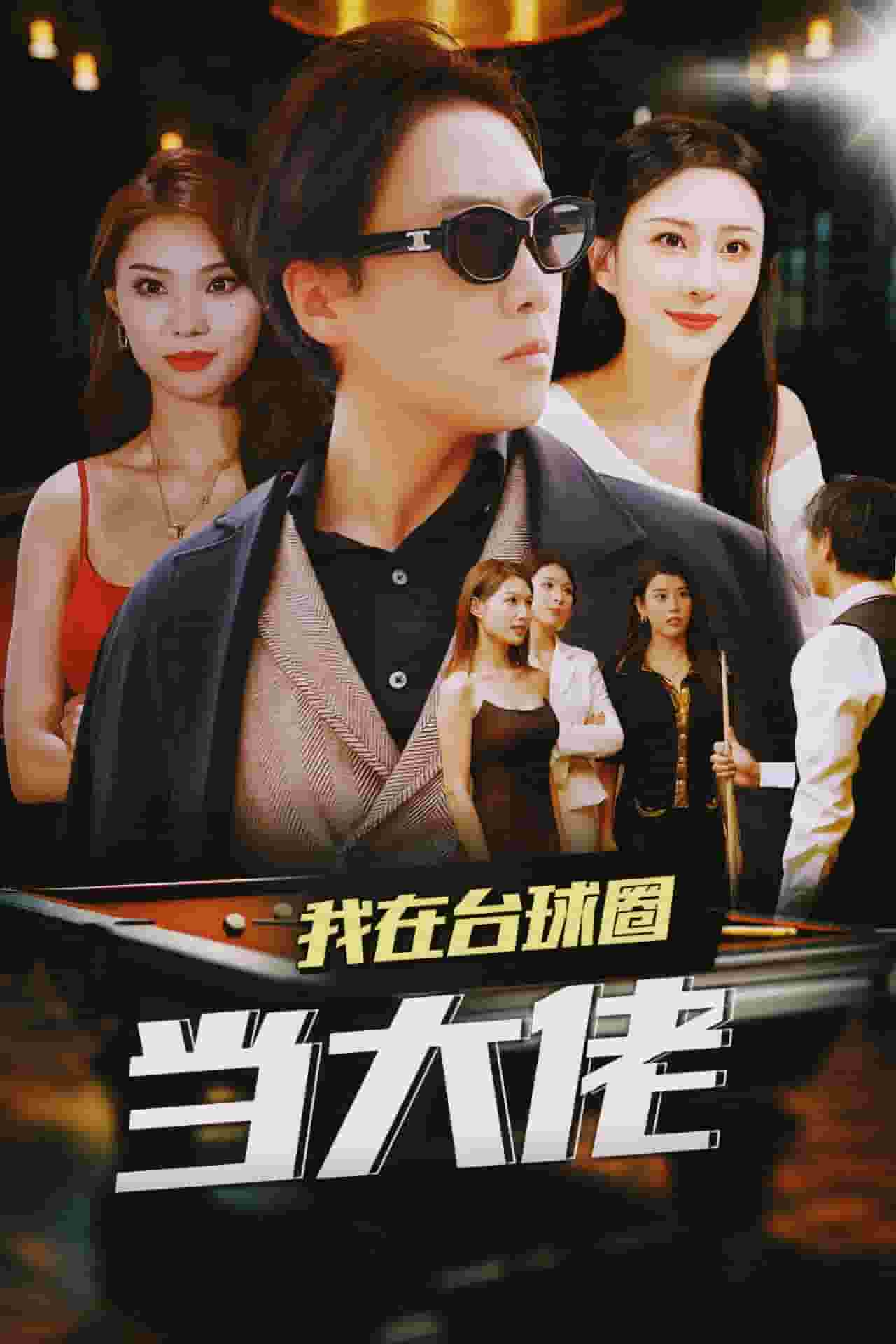 我在台球圈当大佬全集