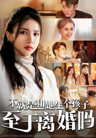 不就是和她生个孩子至于离婚吗全集