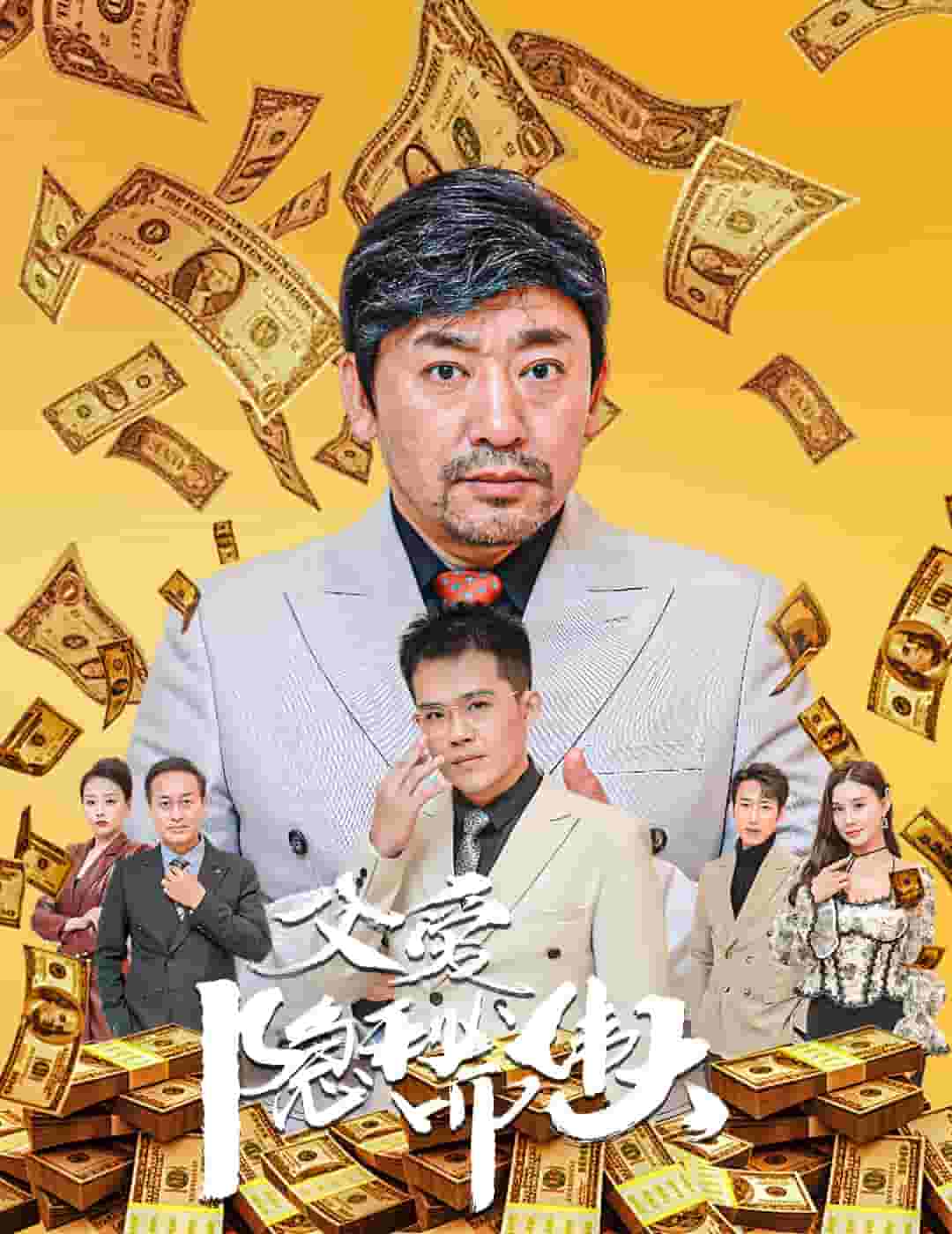 父爱隐秘而伟大全集