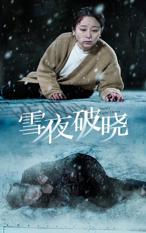 雪夜破晓全集