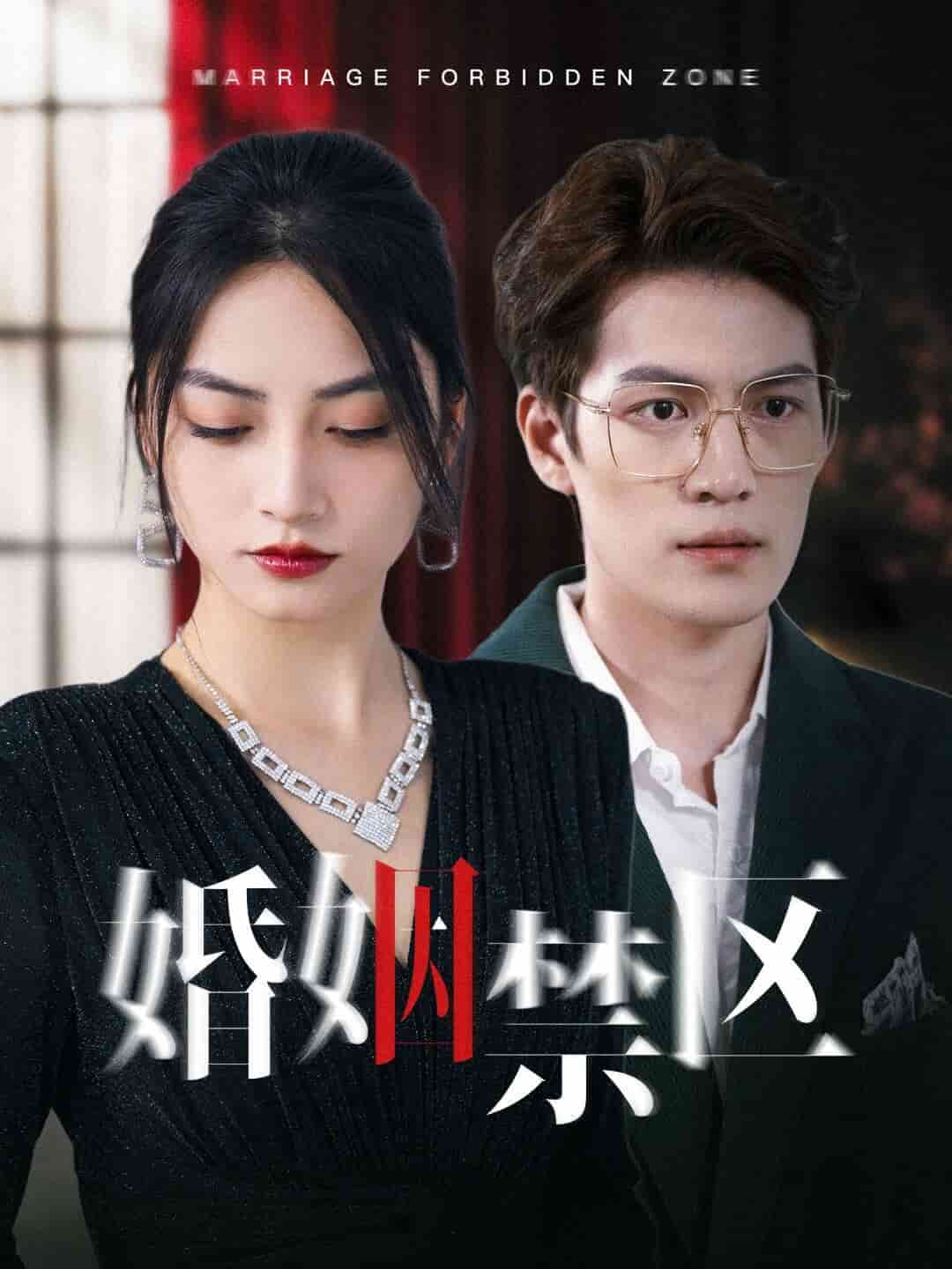 婚姻禁区全集