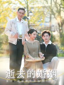 逝去的婚姻全集