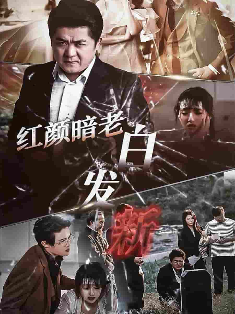 红颜暗老白发新全集