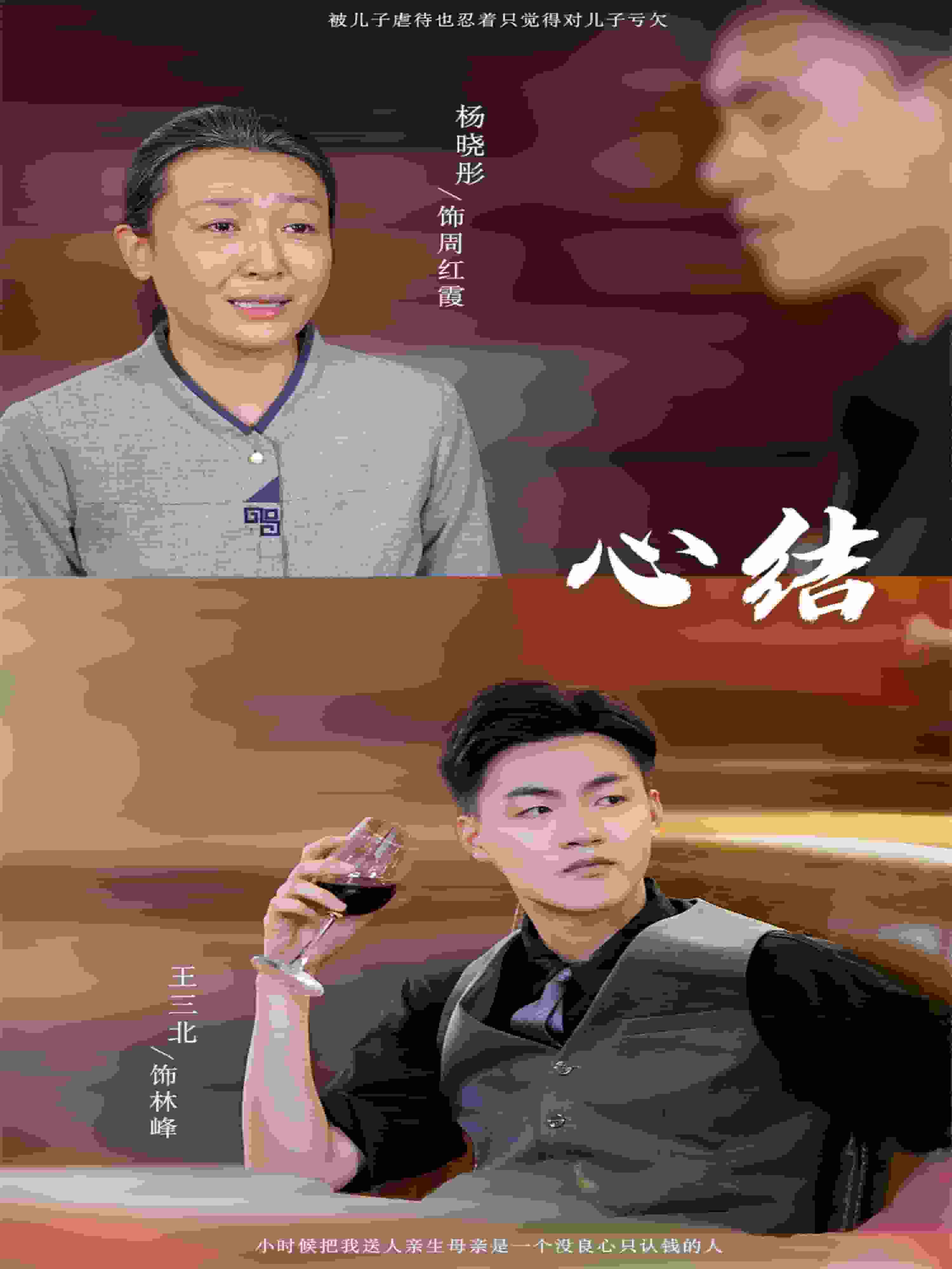 心结全集