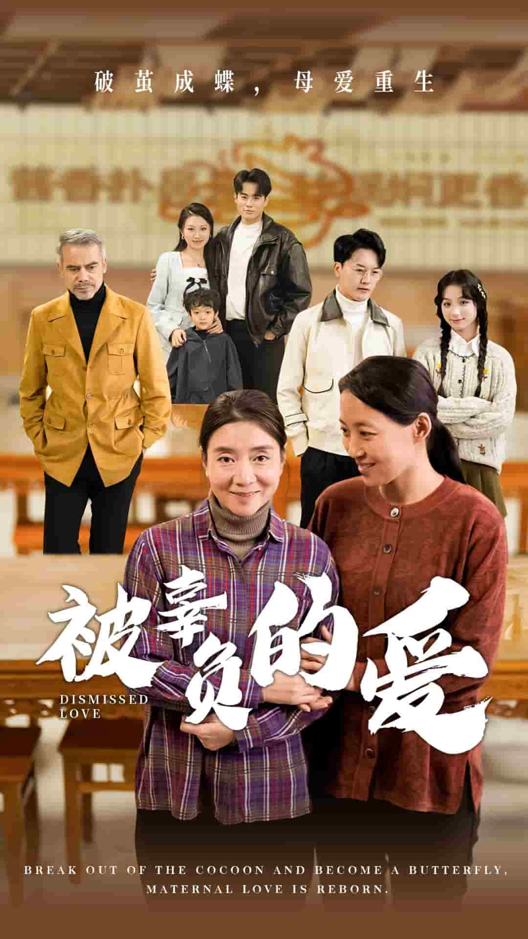 被辜负的爱全集