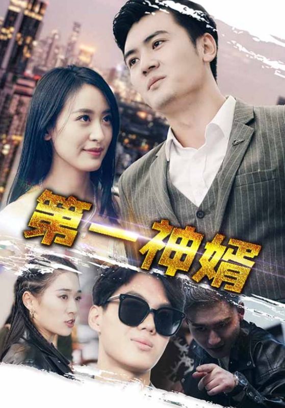 第一神婿全集