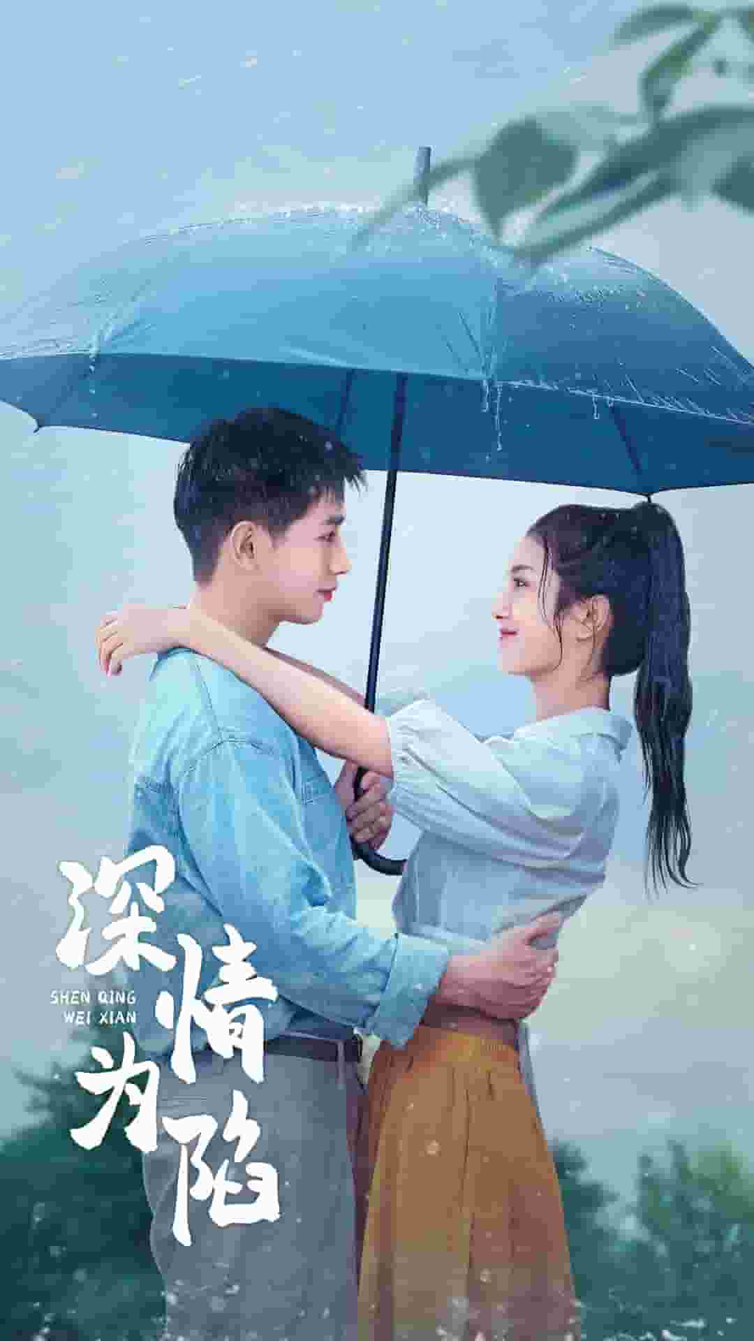 深情为陷全集
