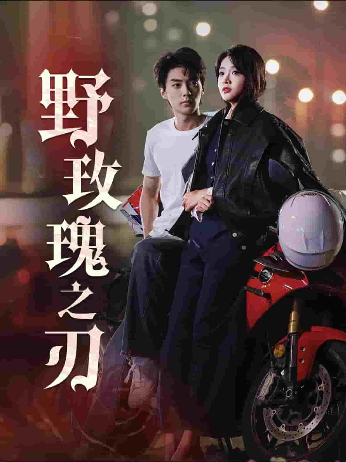 野玫瑰之刃全集