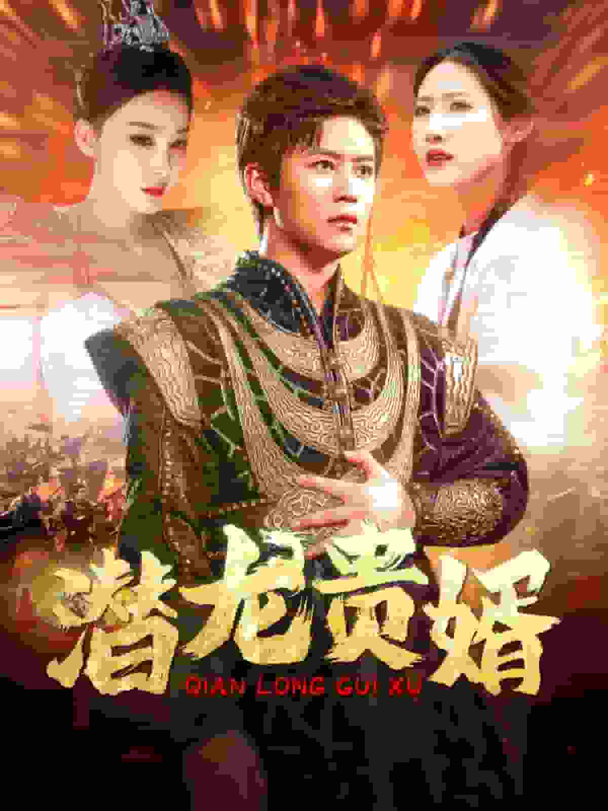 潜龙贵婿全集