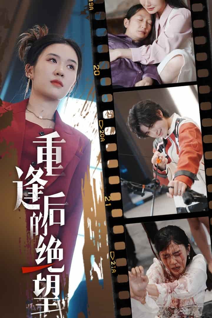 重逢后的绝望全集