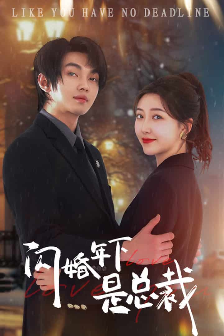 闪婚年下是总裁全集
