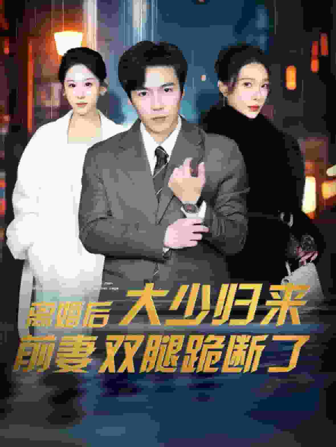 离婚后大少归来前妻双腿跪断了全集