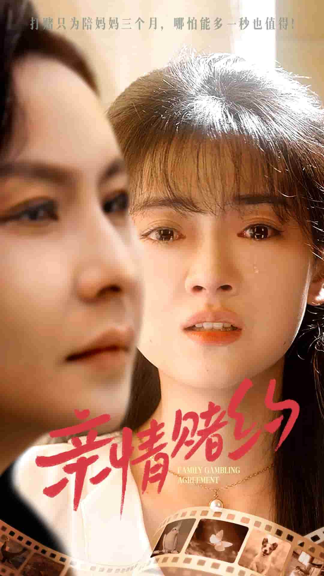亲情赌约全集