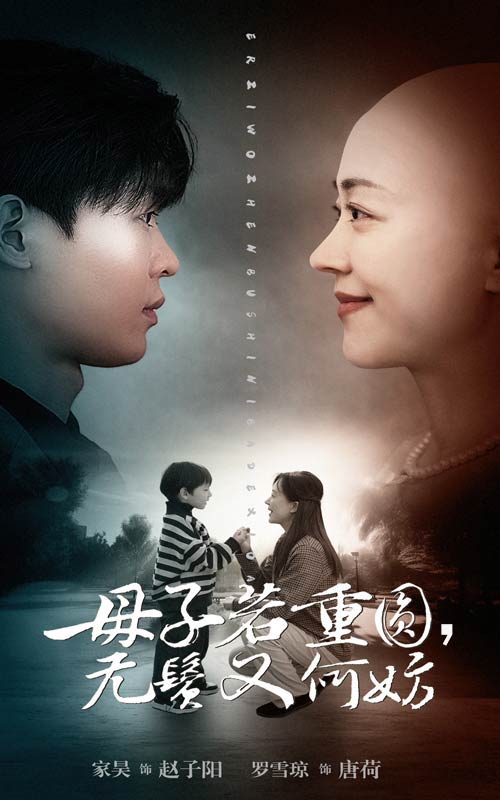 母子若重圆无鬓又何妨全集