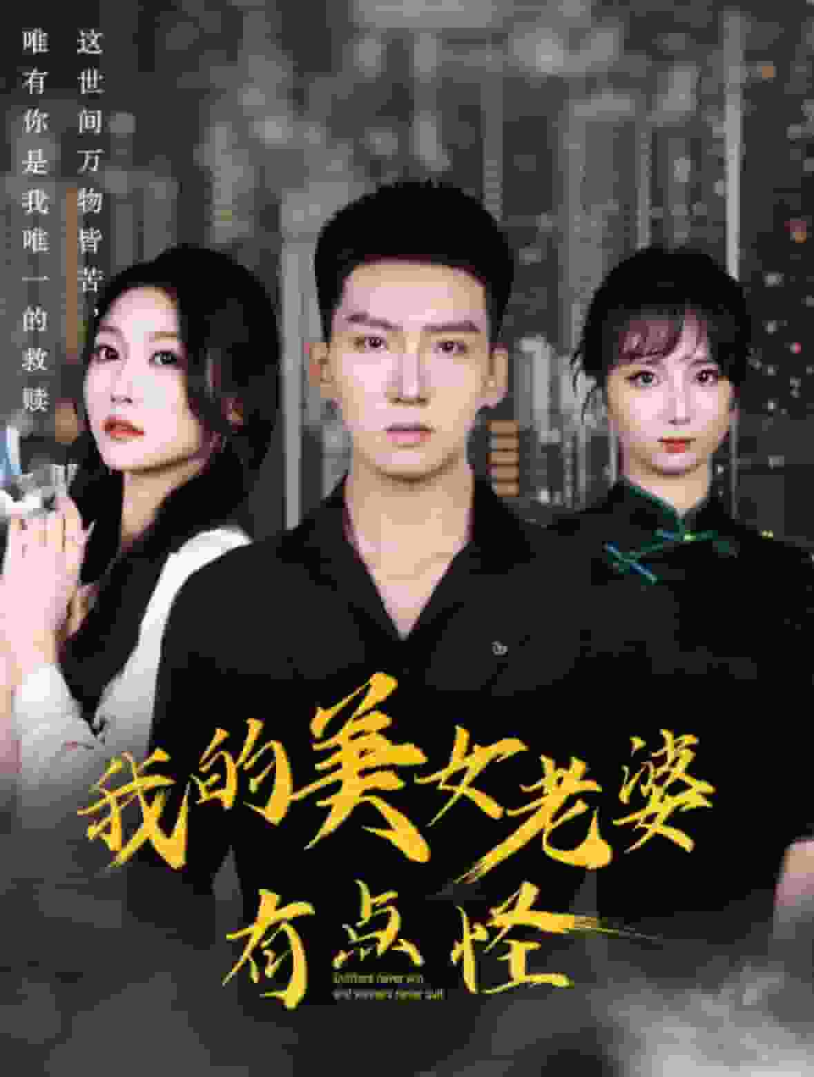 我的美女老婆有点怪全集