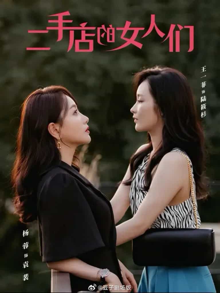 二手店的女人们全集