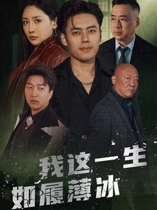 我这一生如履薄冰全集