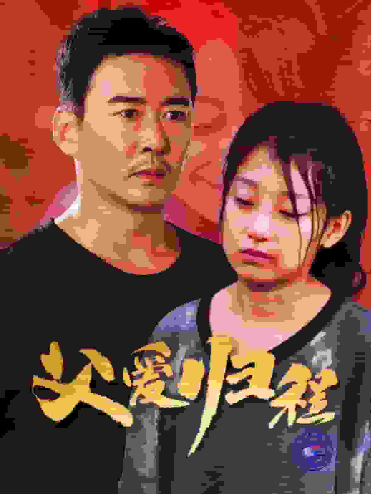 父爱归程全集