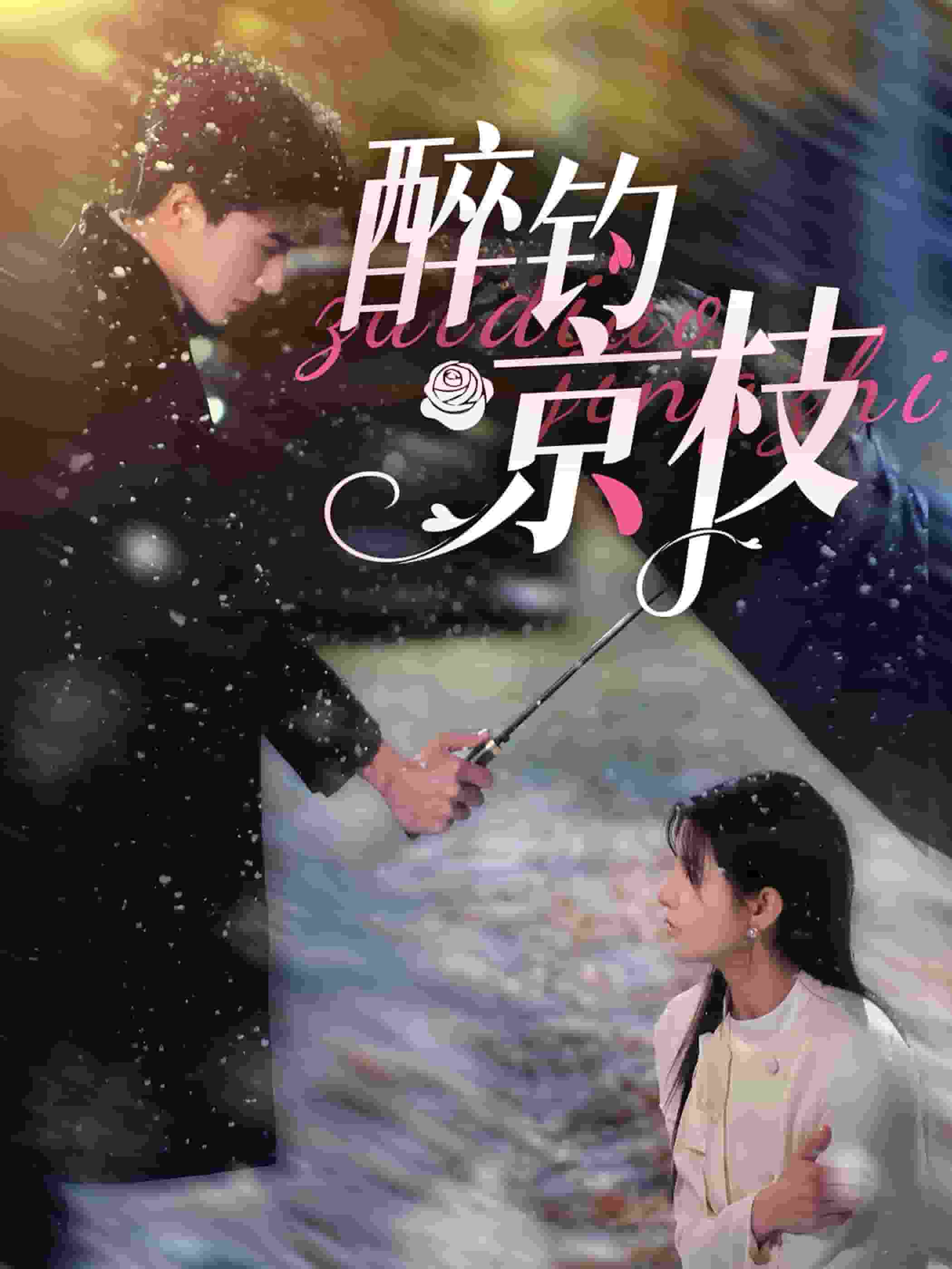 醉钓京枝全集