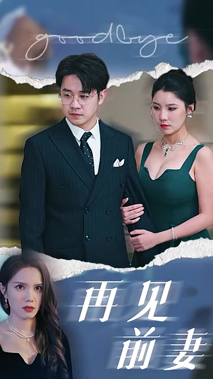 再见前妻全集