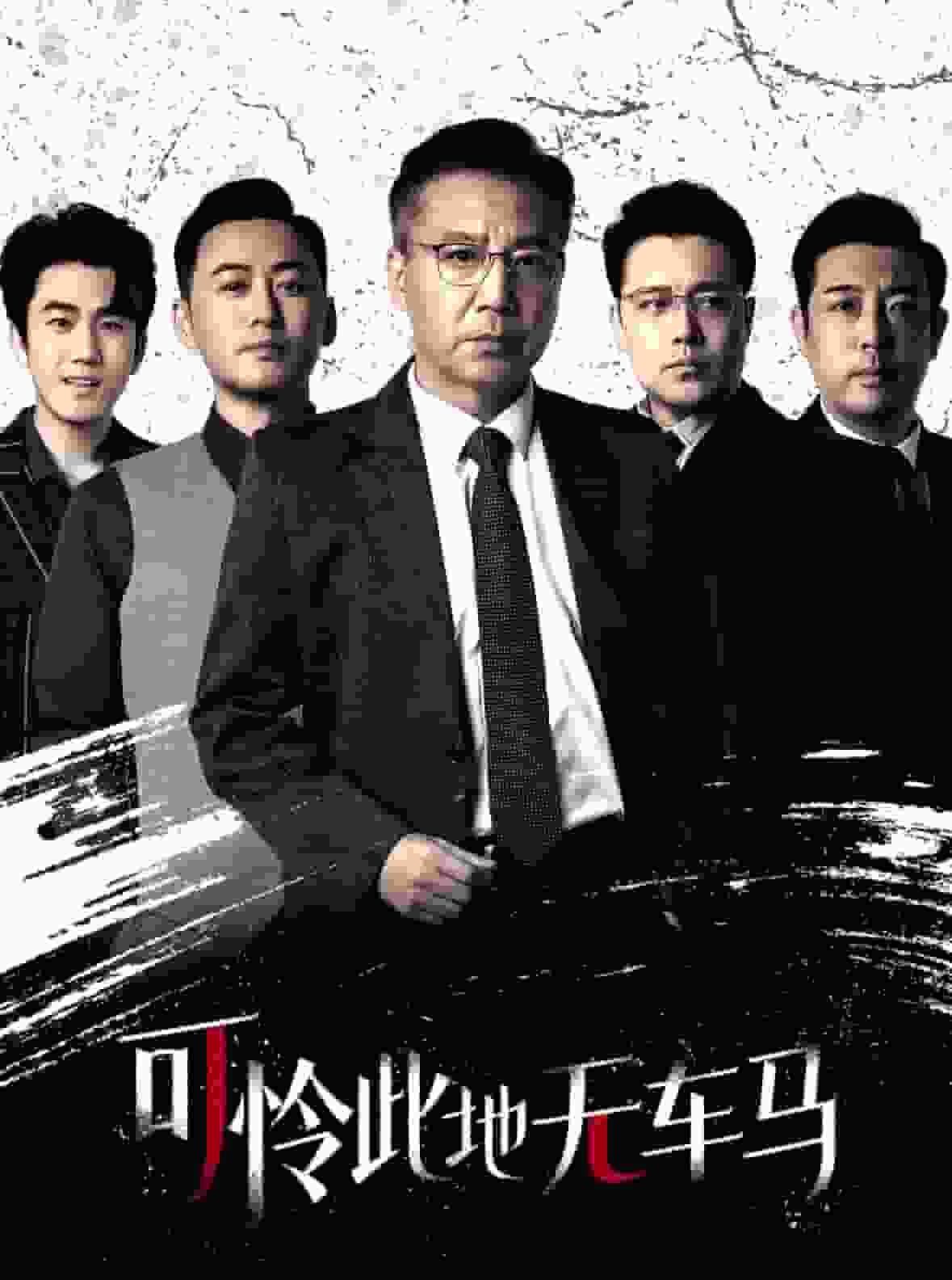 我骑个电驴怎么了全集