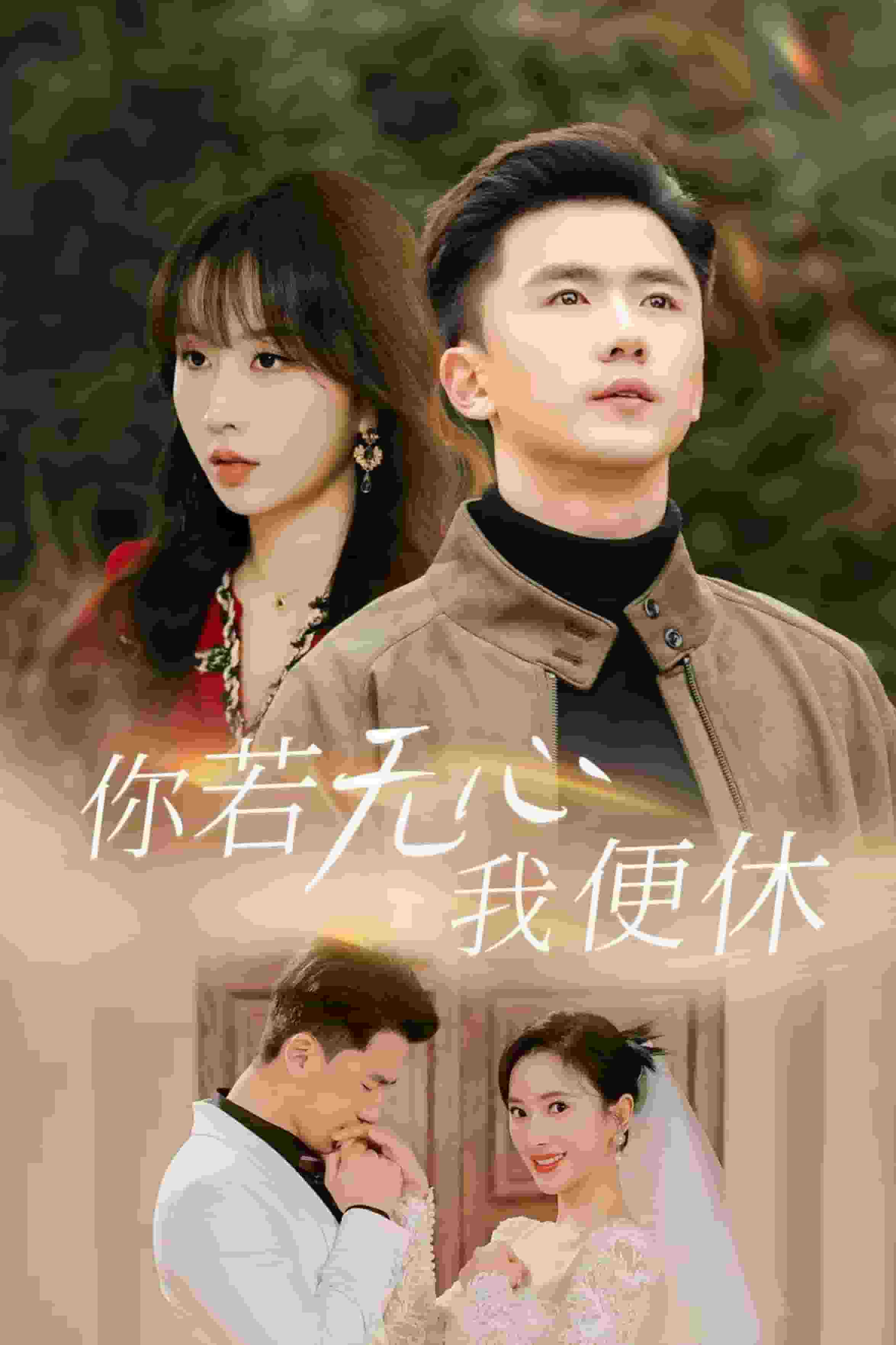 你若无心我便休全集