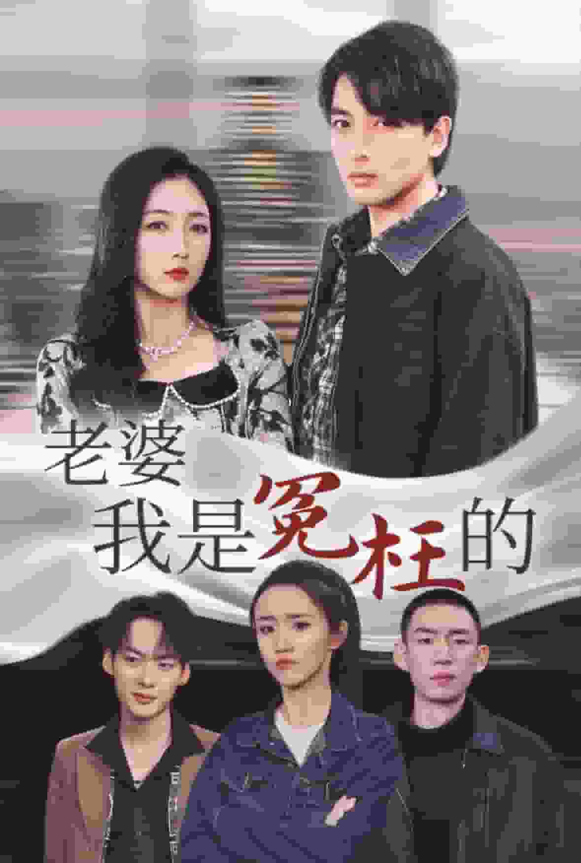 老婆我是冤枉的全集