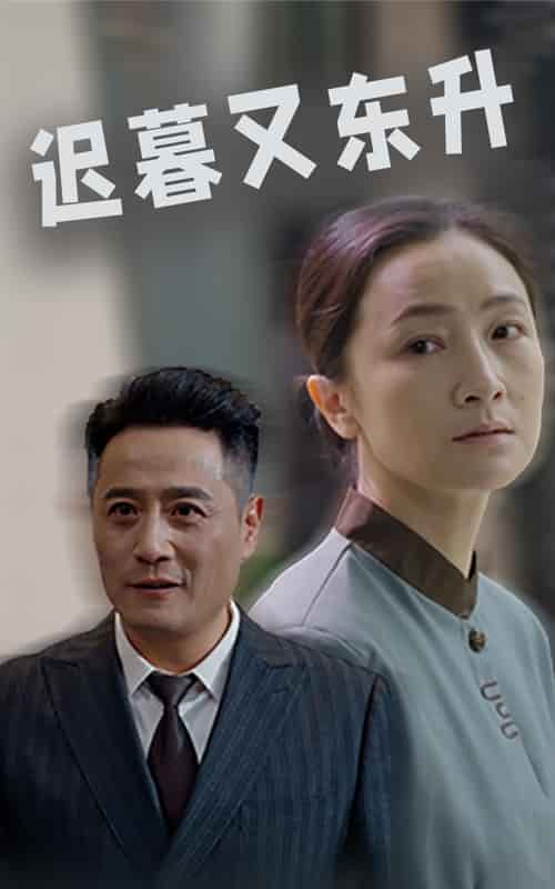 迟暮又东升全集