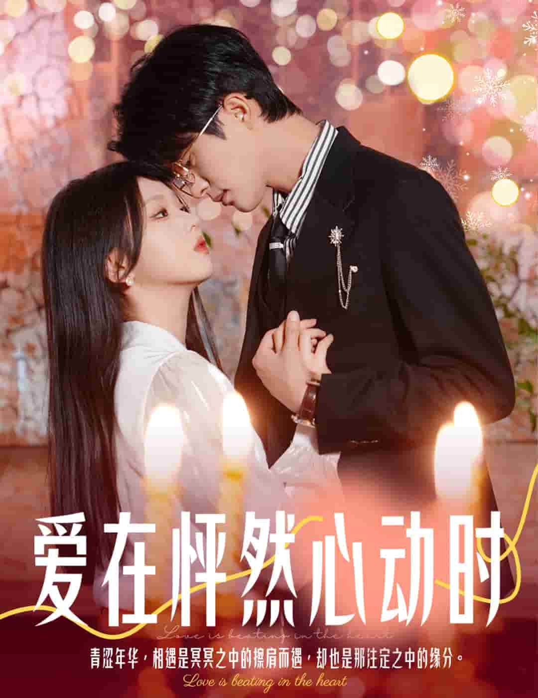 结婚你不答应离职你追什么全集