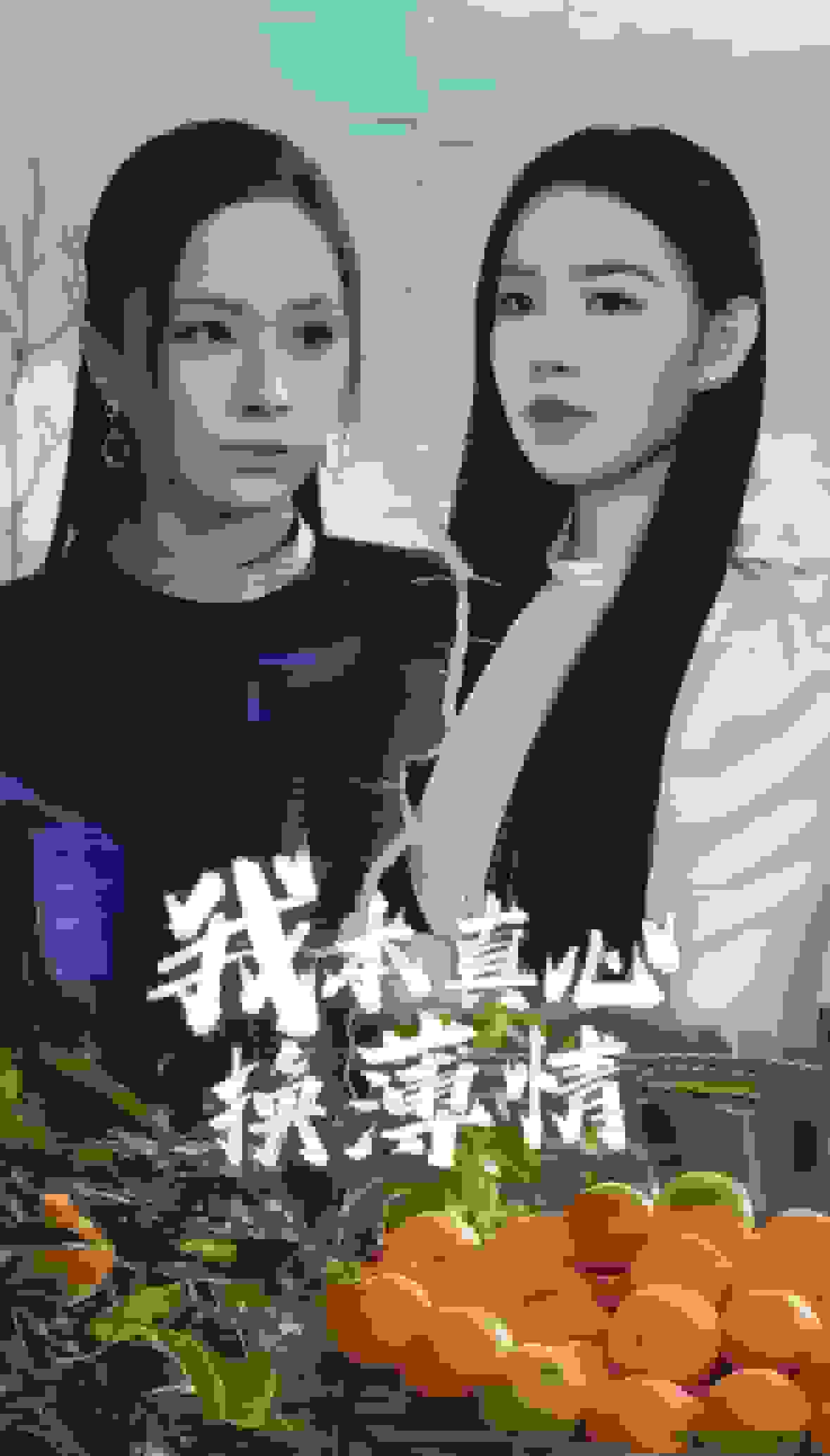 我本真心换薄情全集