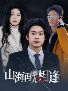 山海再无相逢全集