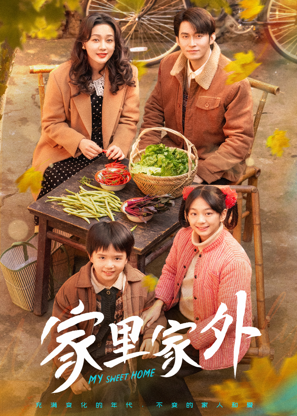 家里家外 短剧版全集