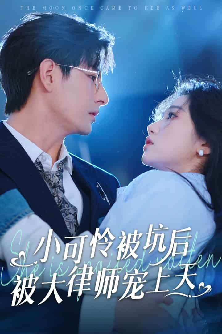 小可怜被坑后被大律师宠上天全集