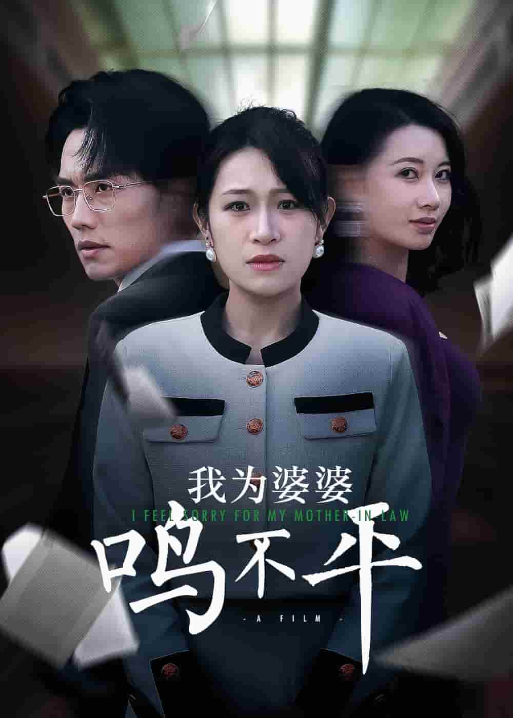 我为婆婆鸣不平全集