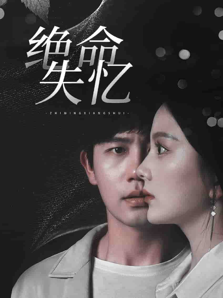 绝命失忆全集
