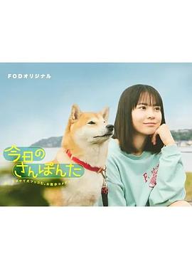 今日份的散步全集