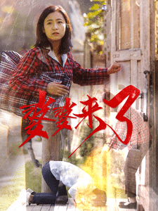 婆婆来了（短剧版）全集