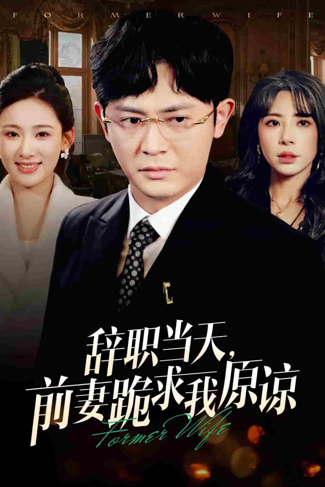 辞职当天前妻哭着求我原谅全集