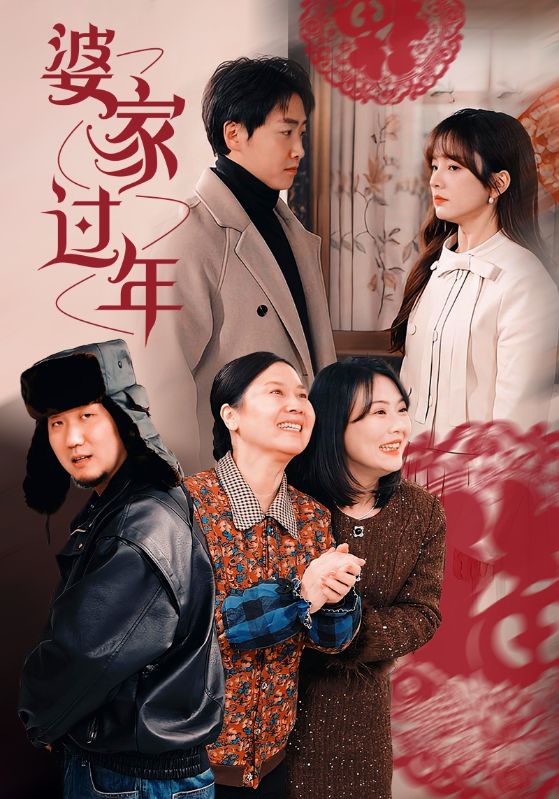 婆家过年全集