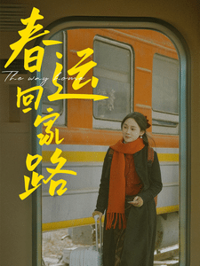 春运回家路全集