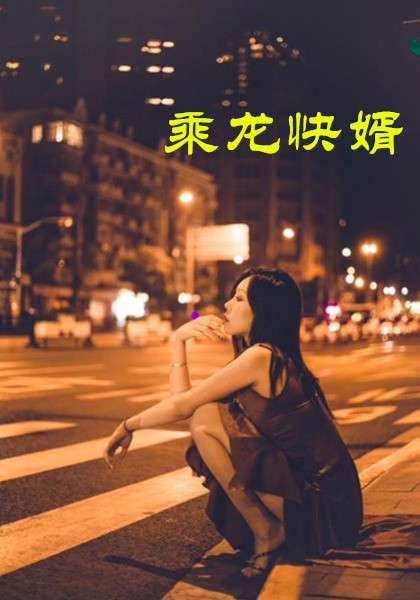 乘龙快婿全集