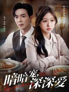 暗暗宠深深爱全集