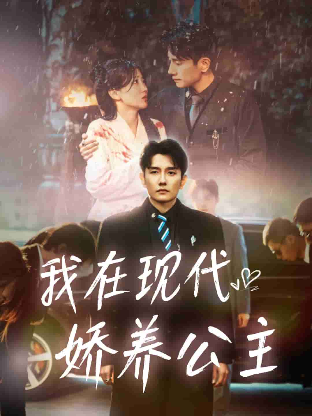 我在现代娇养公主全集