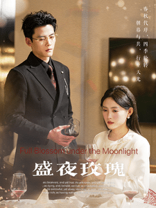 盛夜玫瑰全集